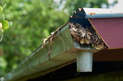 Extends gutter lifespan