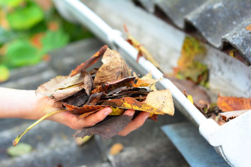 Commercial Gutter Maintenance in Mcdonough, GA