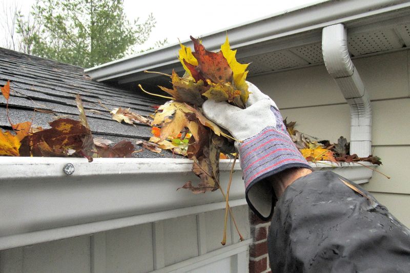 Eavestrough Clearing in Annapolis, MD