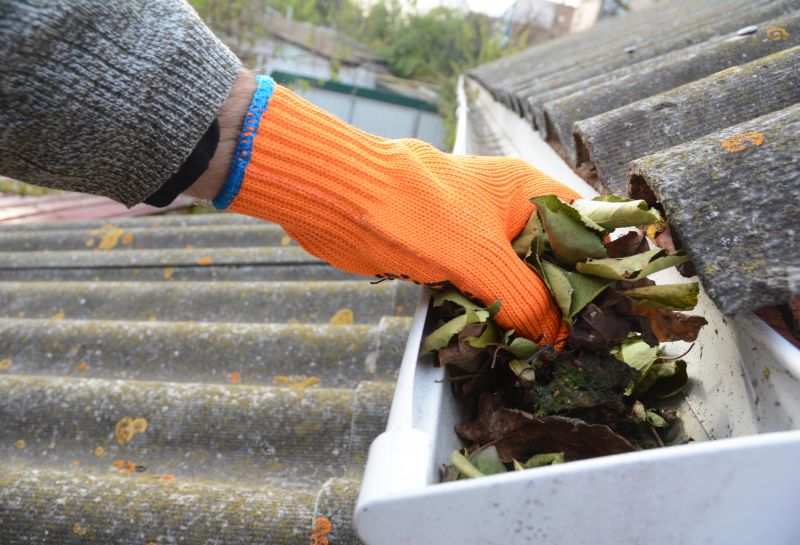 Gutter Leaves Removal in Arvada, CO